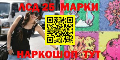 МДПВ Будённовск