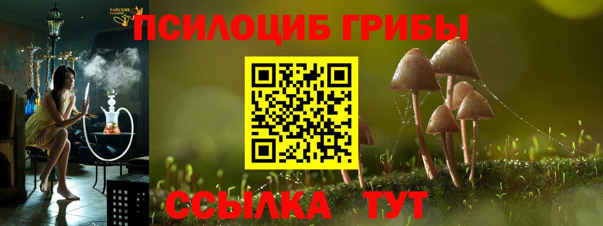 купить наркоту  Галлюциногенные грибы Cubensis  Вход с VPN  Заринск 
